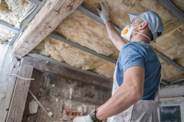 Best Insulation Maintenance and Repair in Mundelein, IL